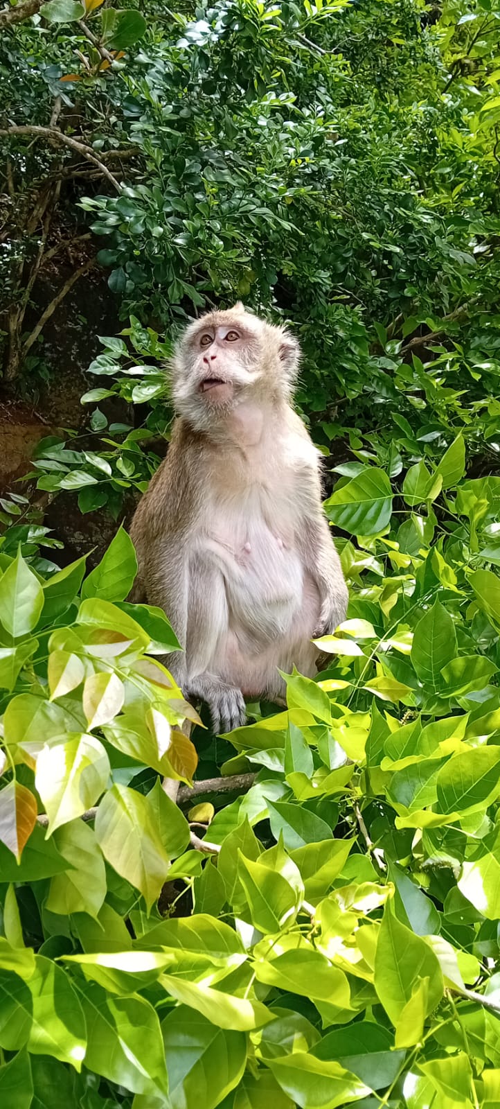 5 Islands Tour – South East Mauritius (Private Trip)