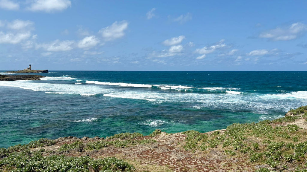 5 Islands Tour – South East Mauritius (Private Trip)